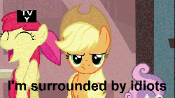 Size: 854x480 | Tagged: safe, edit, edited screencap, screencap, apple bloom, applejack, scootaloo, sweetie belle, earth pony, pegasus, pony, unicorn, g4, one bad apple, animated, annoyed, applejack is not amused, caption, chickun, cutie mark crusaders, female, filly, gif, happy, i'm surrounded by idiots, jumping, mare, meme, reaction image, tv rating, tv-y
