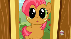 Size: 1920x1052 | Tagged: safe, screencap, babs seed, g4, one bad apple, covering, tail covering