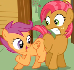 Size: 805x763 | Tagged: safe, screencap, babs seed, scootaloo, g4, one bad apple, season 3, butt bump, butt to butt, butt touch, do not want