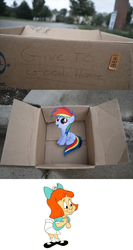 Size: 662x1240 | Tagged: safe, rainbow dash, human, pegasus, pony, fanfic:my little dashie, g4, dashie meme, elmyra duff, evil people finding dash meme, exploitable meme, meme, photo, this will end in tears and/or death, tiny toon adventures