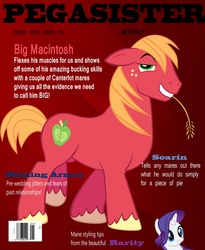 Size: 840x1024 | Tagged: safe, artist:w1kk3d, big macintosh, rarity, earth pony, pony, unicorn, g4, male, pegasister, stallion, straw in mouth