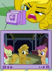 Size: 511x700 | Tagged: safe, apple bloom, scootaloo, sweetie belle, oc, oc:ticket, alicorn, pony, g4, my little pony: friendship is magic, one bad apple, alicorn oc, cutie mark crusaders, exploitable meme, meme, sweetie gold, tv meme