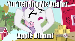 Size: 852x467 | Tagged: safe, edit, edited screencap, screencap, sweetie belle, g4, my little pony: friendship is magic, one bad apple, caption, image macro, meme, the room, tommy wiseau, you're tearing me apart lisa