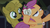 Size: 1920x1080 | Tagged: safe, screencap, scootaloo, sweetie belle, g4, one bad apple, sweetie gold