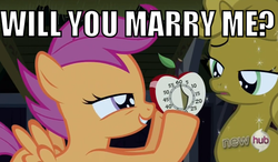 Size: 591x346 | Tagged: safe, edit, edited screencap, screencap, scootaloo, sweetie belle, pony, g4, one bad apple, apple timer, caption, duo, female, filly, foal, image macro, lesbian, marriage, marriage proposal, meme, ship:scootabelle, shipping, stopwatch, sweetie gold, timer