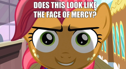 Size: 1906x1048 | Tagged: safe, screencap, babs seed, g4, one bad apple, face, face of mercy, image macro, meme