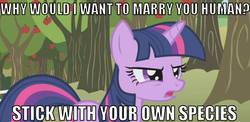 Size: 691x338 | Tagged: safe, twilight sparkle, g4, angry, hilarious in hindsight, image macro