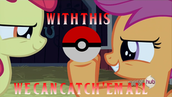 Size: 1600x900 | Tagged: safe, apple bloom, scootaloo, g4, one bad apple, image macro, plotting, poké ball, pokémon