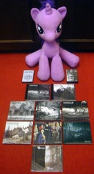 Size: 544x1000 | Tagged: safe, twilight sparkle, pony, g4, burzum, irl, photo, plushie