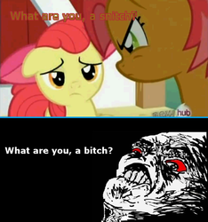 Size: 500x535 | Tagged: safe, apple bloom, babs seed, g4, my little pony: friendship is magic, one bad apple, meme, oh snap, rage face