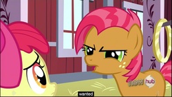 Size: 1920x1080 | Tagged: safe, screencap, apple bloom, babs seed, g4, one bad apple, hub logo, youtube caption