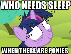 Size: 500x378 | Tagged: safe, edit, edited screencap, screencap, twilight sparkle, pony, g4, lesson zero, season 2, bags under eyes, derp, female, image macro, insomnia, meme, sleep deprivation, solo, twilight snapple, who needs sleep anyway