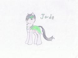 Size: 1024x768 | Tagged: safe, artist:dawnfelix, beyond good and evil, jade (beyond good and evil), ponified