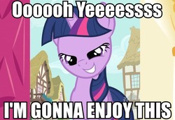 Size: 960x660 | Tagged: safe, edit, edited screencap, screencap, twilight sparkle, g4, caption, faic