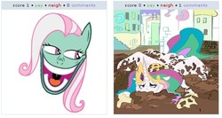 Size: 529x282 | Tagged: safe, minty, princess celestia, derpibooru, g3, g4, exploitable meme, g3 to g4, generation leap, juxtaposition, juxtaposition win, woody, woody face