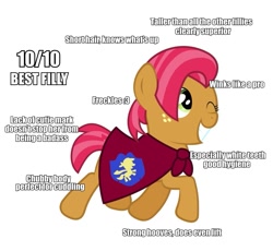Size: 967x888 | Tagged: safe, babs seed, earth pony, pony, g4, 10/10, analysis, best pony, caption, female, filly, foal, freckles, meme, one eye closed, simple background, solo, text, white background, wink