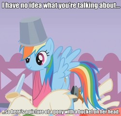 Size: 600x574 | Tagged: safe, screencap, rainbow dash, pony, g4, suited for success, bucket, bucketdash, cute, female, headbucket, image macro, smiling, solo, spread wings