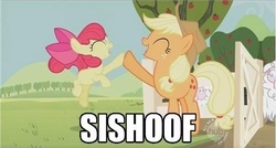 Size: 499x268 | Tagged: safe, edit, edited screencap, screencap, apple bloom, applejack, earth pony, pony, sheep, g4, sisterhooves social, apple sisters, caption, duo, high five, hoofbump, hub logo, siblings, sisters