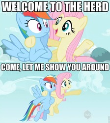 Size: 834x932 | Tagged: safe, edit, edited screencap, screencap, fluttershy, rainbow dash, pegasus, pony, g4, may the best pet win, my little pony: friendship is magic, season 2, caption, duo, female, hoof around neck, hub logo, image macro, mare, meme, welcome, welcome to the herd