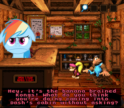 Size: 500x438 | Tagged: safe, edit, rainbow dash, pony, g4, dixie kong, donkey kong, donkey kong country, donkey kong country 3: dixie kong's double trouble!, kiddy kong, nintendo, rainbow dash is best facemaker, rareware, text