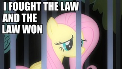 Size: 960x540 | Tagged: safe, edit, edited screencap, screencap, fluttershy, pony, a bird in the hoof, g4, my little pony: friendship is magic, cage, caption, female, i fought the law, image macro, solo, song reference, the crickets