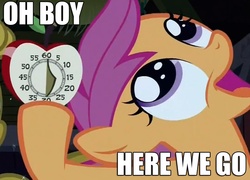 Size: 1088x783 | Tagged: safe, scootaloo, pony, g4, my little pony: friendship is magic, one bad apple, female, image macro, oh boy here we go, reaction image, solo