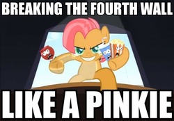 Size: 960x667 | Tagged: safe, babs seed, pony, g4, cinema, fourth wall, giant pony, image macro, snacks