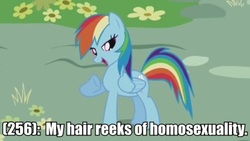 Size: 500x281 | Tagged: safe, edit, edited screencap, screencap, rainbow dash, pegasus, pony, g4, caption, female, image macro, mare, open mouth, raised hoof, smiling, solo, text, texts from ponyville