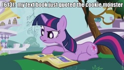 Size: 640x360 | Tagged: safe, edit, edited screencap, screencap, twilight sparkle, g4, caption, image macro, text, texts from ponyville