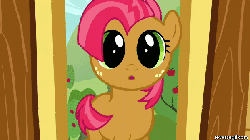 Size: 600x338 | Tagged: safe, screencap, babs seed, g4, one bad apple, animated, blinking, female, male