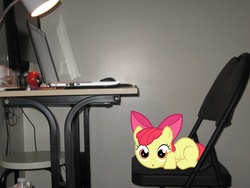 Size: 3072x2304 | Tagged: safe, artist:gamerartistwriter106, apple bloom, earth pony, pony, g4, chair, computer, female, filly, foal, irl, laptop computer, photo, ponies in real life, vector