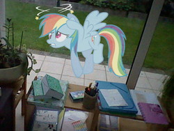 Size: 640x480 | Tagged: safe, artist:rainb0wda5h, rainbow dash, pony, g4, dizzy, irl, photo, ponies in real life, vector