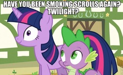 Size: 689x420 | Tagged: safe, edit, edited screencap, screencap, spike, twilight sparkle, dragon, pony, unicorn, g4, season 3, too many pinkie pies, caption, derp, duo, female, image macro, male, mare, out of context, stoned, stoner, unicorn twilight