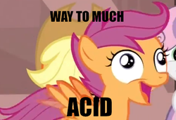 Size: 468x321 | Tagged: safe, scootaloo, g4, derp, image macro