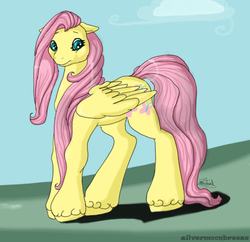 Size: 544x526 | Tagged: safe, artist:silvermoonbreeze, fluttershy, pony, g2, g4, female, g4 to g2, generation leap, solo