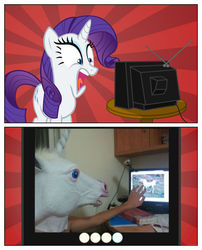 Size: 485x600 | Tagged: safe, rarity, horse, human, pony, unicorn, g4, exploitable meme, hoers, hoers mask, mask, meme, photo, tv meme