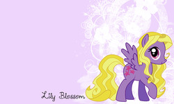 Size: 3000x1800 | Tagged: safe, artist:kelseysparrow67, lily blossom, pony, g4, solo, wallpaper