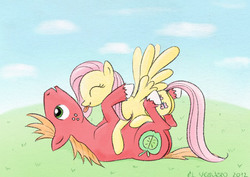 Size: 720x509 | Tagged: safe, artist:el-yeguero, big macintosh, fluttershy, earth pony, pegasus, pony, g4, butt, female, girl on top, lying down, male, mare, on back, plot, ship:fluttermac, shipping, stallion, straight, tongue out, wingboner