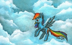 Size: 865x548 | Tagged: safe, artist:jungle-fire, rainbow dash, g4, traditional art