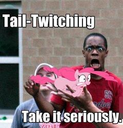 Size: 468x488 | Tagged: safe, pinkie pie, g4, image macro, tail-twitching, water balloon guy