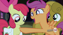 Size: 850x471 | Tagged: safe, screencap, apple bloom, scootaloo, sweetie belle, earth pony, pegasus, pony, unicorn, g4, one bad apple, female, filly, sweetie gold