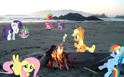 Size: 2880x1800 | Tagged: safe, artist:mr-kennedy92, applejack, fluttershy, pinkie pie, rainbow dash, rarity, spike, twilight sparkle, pony, g4, applejack's special marshmallows, balloon, beach, exploitable meme, fire, irl, mane seven, mane six, marshmallow, meme, photo, ponies in real life, vector