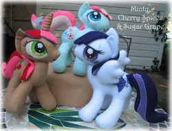 Size: 700x536 | Tagged: safe, artist:krumm33, cherry spices, minty (g4), sugar grape, earth pony, pegasus, pony, unicorn, g4, horn, irl, outdoors, photo, plushie, spread wings, trio, wings