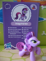 Size: 480x640 | Tagged: safe, artist:twilightberry, berry punch, berryshine, earth pony, pony, g4, official, collector card, irl, multilingual packaging, photo, solo, toy