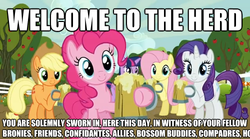 Size: 500x278 | Tagged: safe, edit, edited screencap, screencap, applejack, fluttershy, pinkie pie, rarity, twilight sparkle, g4, one bad apple, the super speedy cider squeezy 6000, apple, apple tree, cider, image macro, mug, spanish, sweet apple acres, synonyms, tree, welcome to the herd