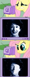 Size: 799x2048 | Tagged: safe, fluttershy, pony, g4, my little pony: friendship is magic, stare master, doctor who, exploitable meme, meme, photo, stare, television, the wire, tv meme