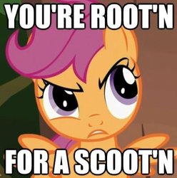 Size: 395x398 | Tagged: safe, scootaloo, g4, image macro, looks like somepony's