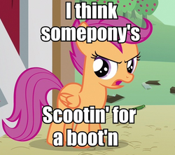 Size: 608x537 | Tagged: safe, scootaloo, g4, cute, image macro, looks like somepony's