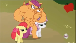 Size: 430x243 | Tagged: safe, artist:cybersp0nge, edit, edited screencap, screencap, apple bloom, scootaloo, sweetie belle, g4, one bad apple, ax brutaloo, muscles, overdeveloped muscles, strongaloo
