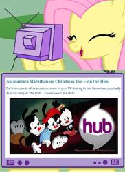 Size: 603x827 | Tagged: safe, fluttershy, pony, g4, animaniacs, blog, exploitable meme, hub logo, meme, meta, the hub, tv meme, yakko warner